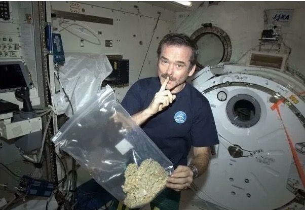 Astronaut Chris Hadfield testing marijuana in space
