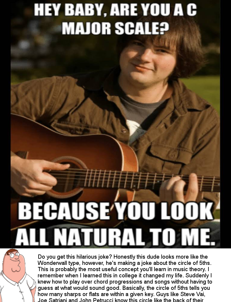 Funny meme (musicians only)