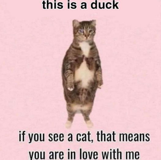 What do you see?