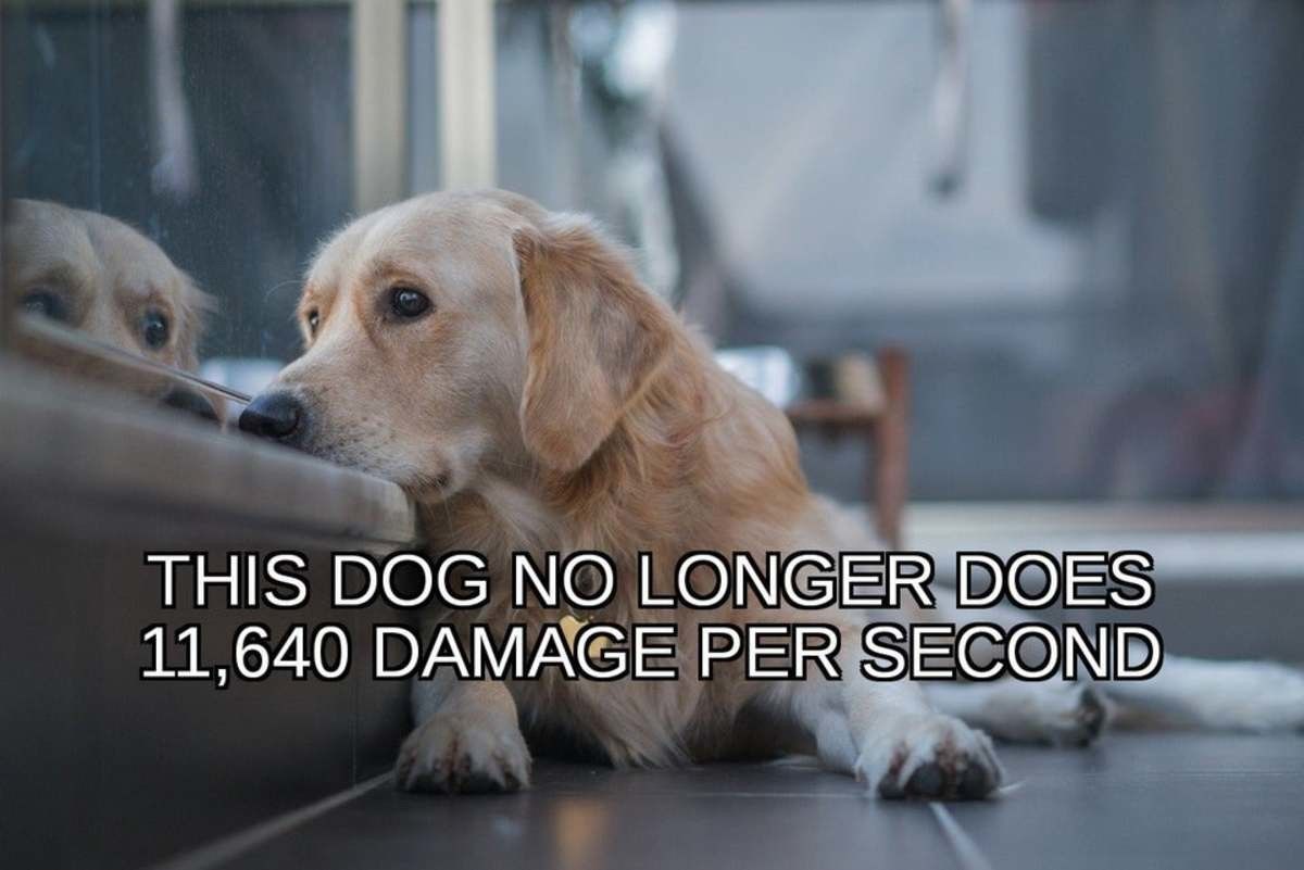 Various glitches have been resolved and the dog is now much more viable as a partner