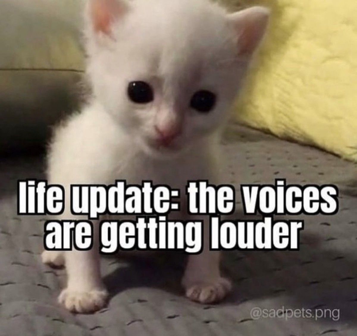 Addendum, they're not getting louder, they're getting closer