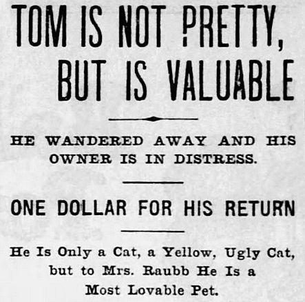 @Tom89