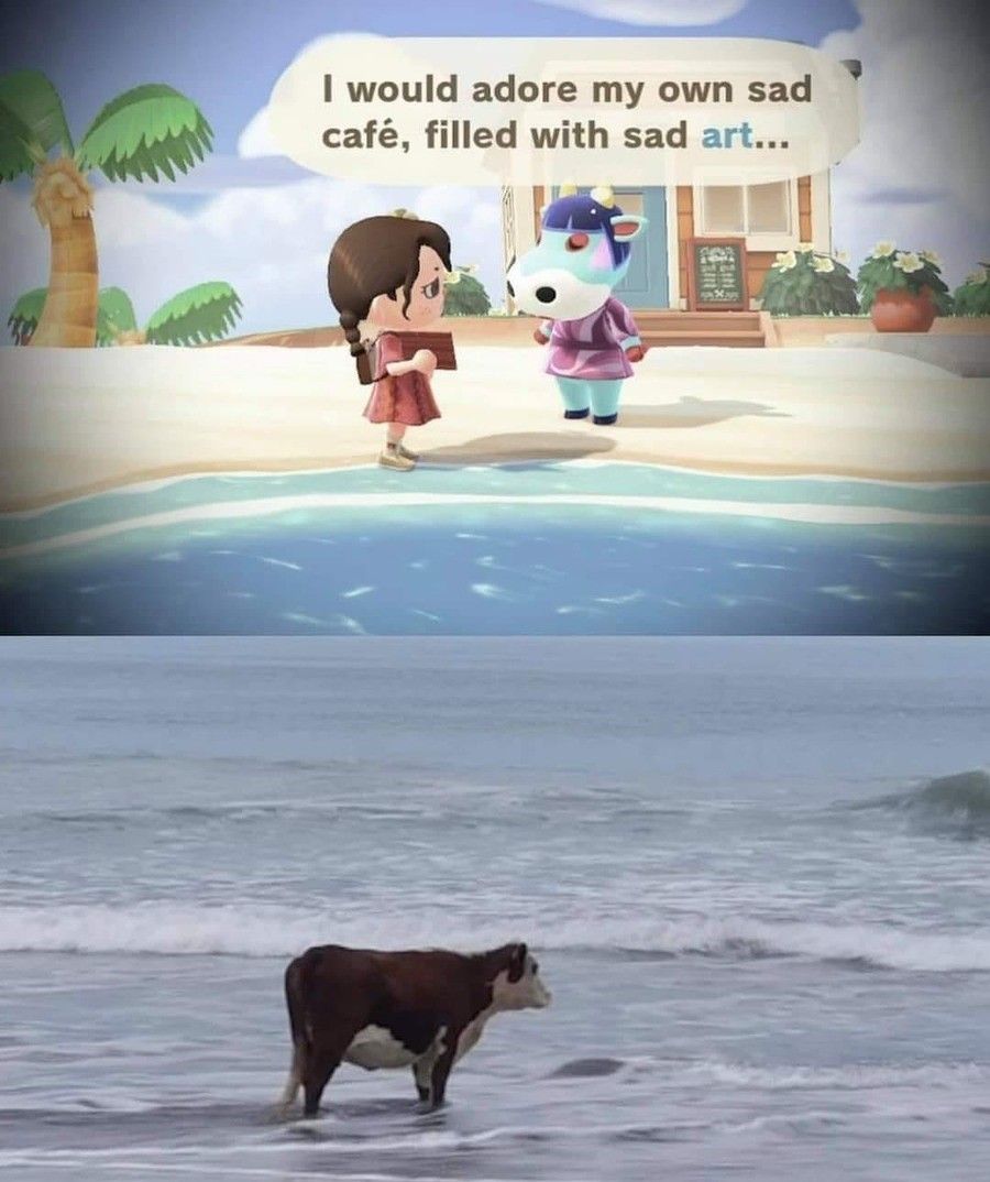 °°°°