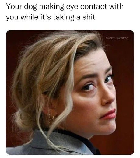 Stop the kinkshaming