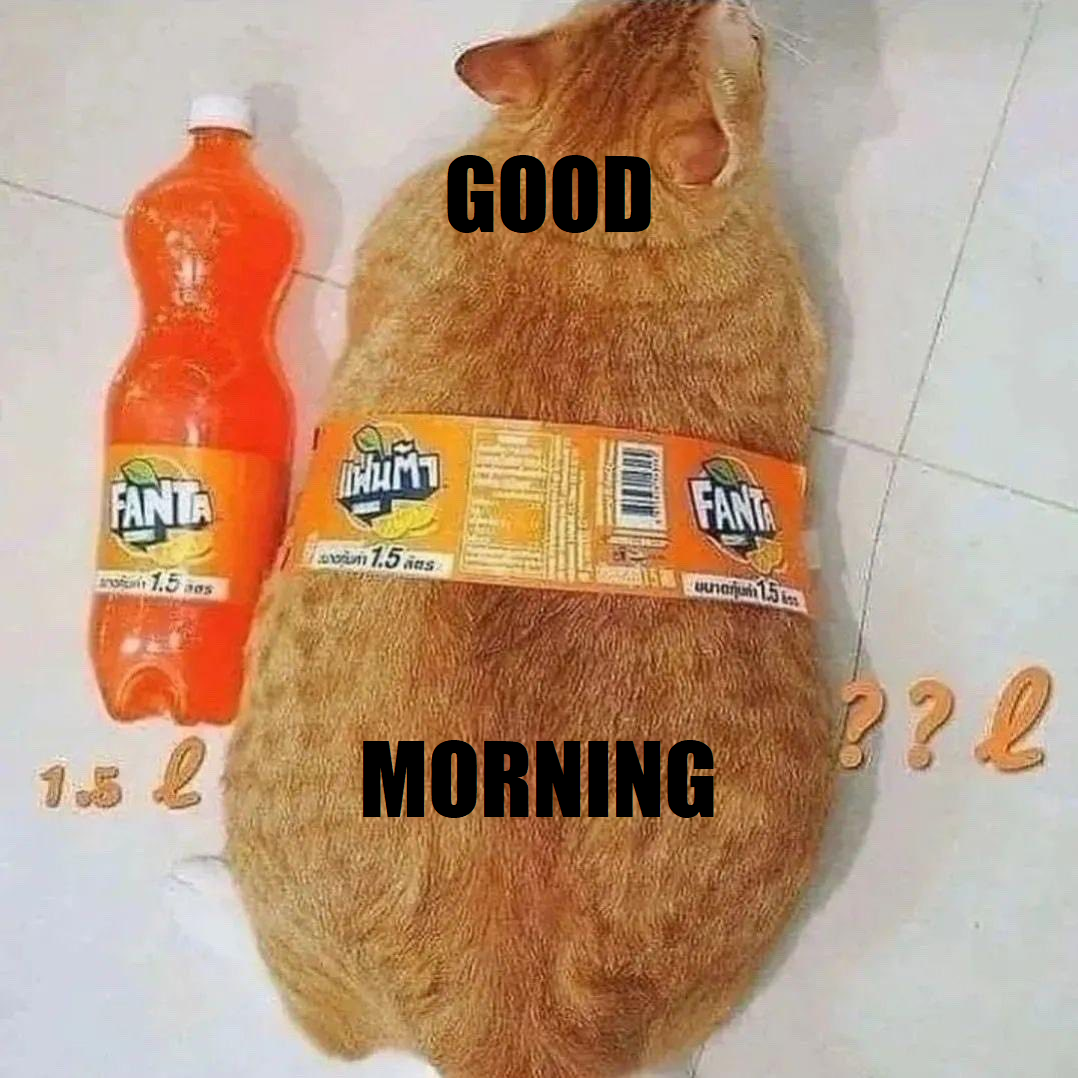 Good morning