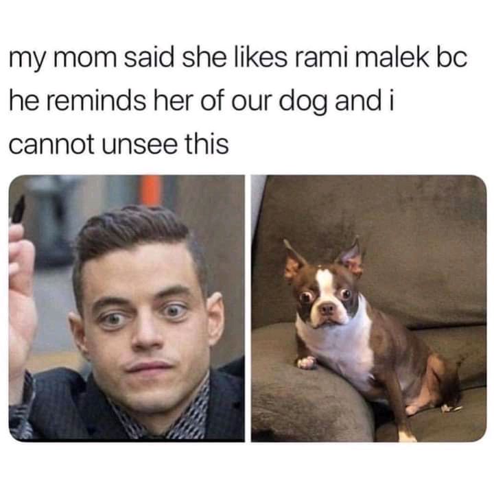 Rami's an excellent actor, but..