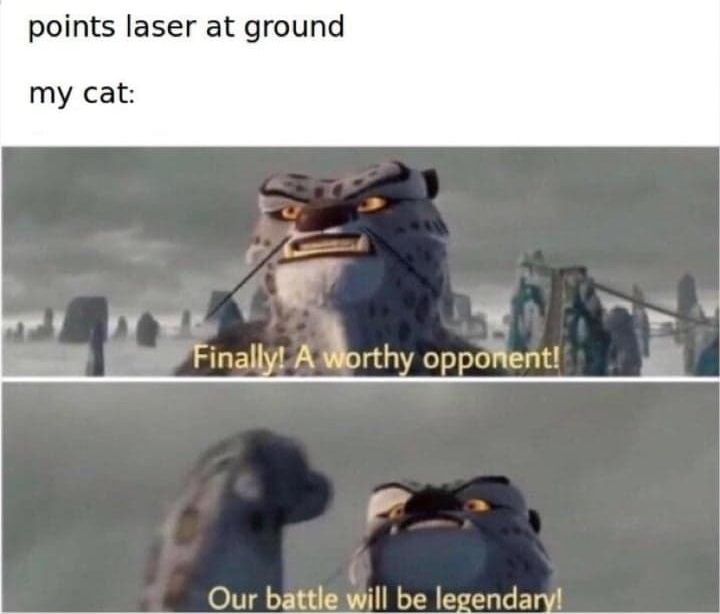 DuddyPosting