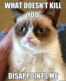 Oh Grumpy Cat...