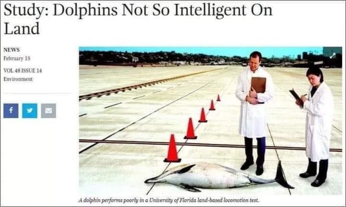 land fish