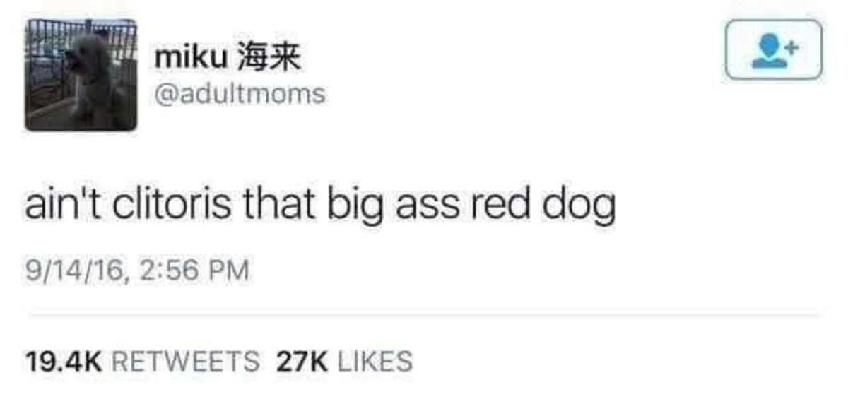 da dog