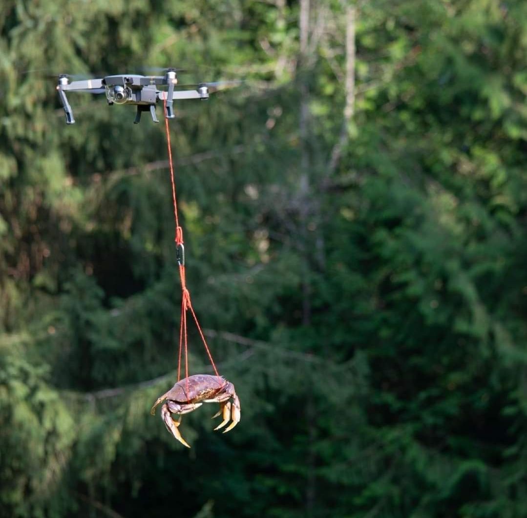 US Army heavy lift helicopter lifting a tank during the Vietnam war, circa 1965, colourised.