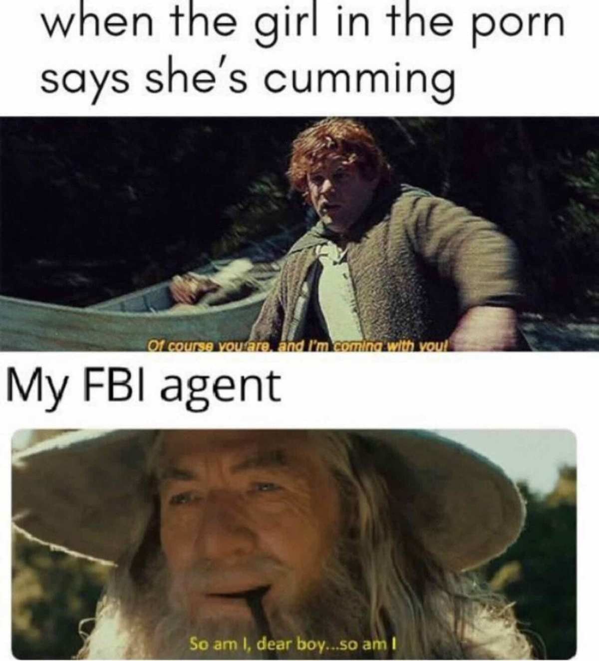 fed