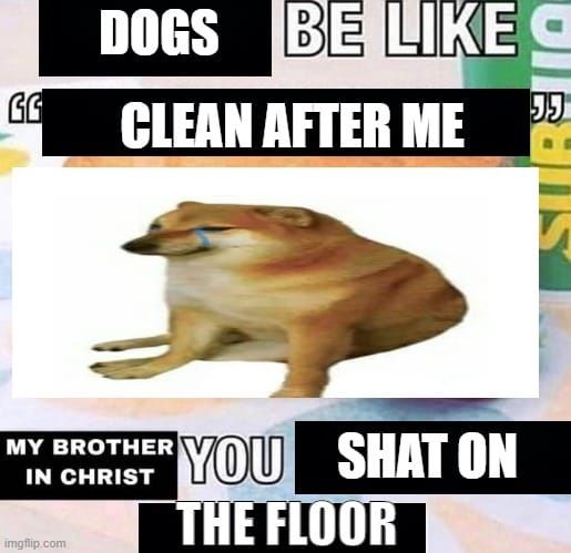 dog