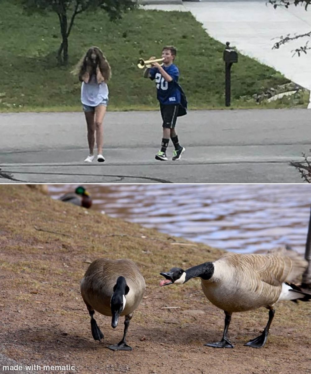 took a picture of these geese and it reminded me of something.