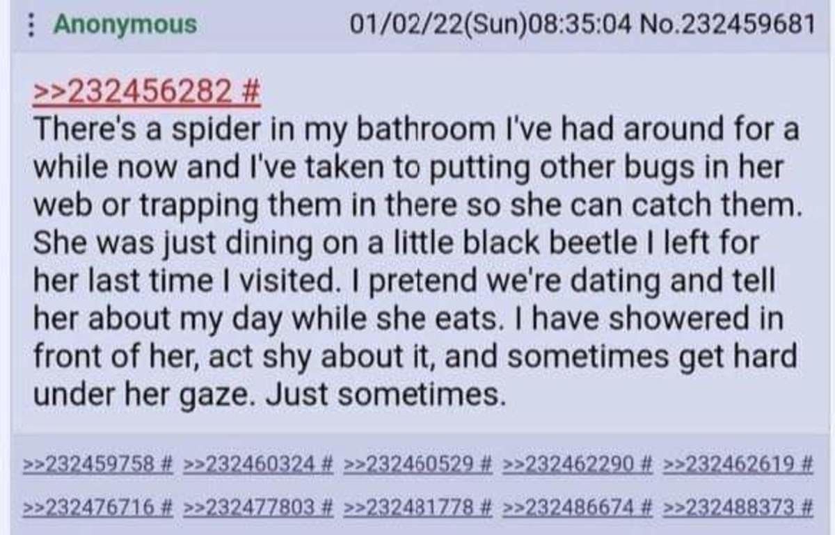spider gf