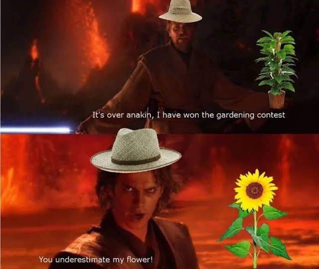 UNLIMITED FLOWER