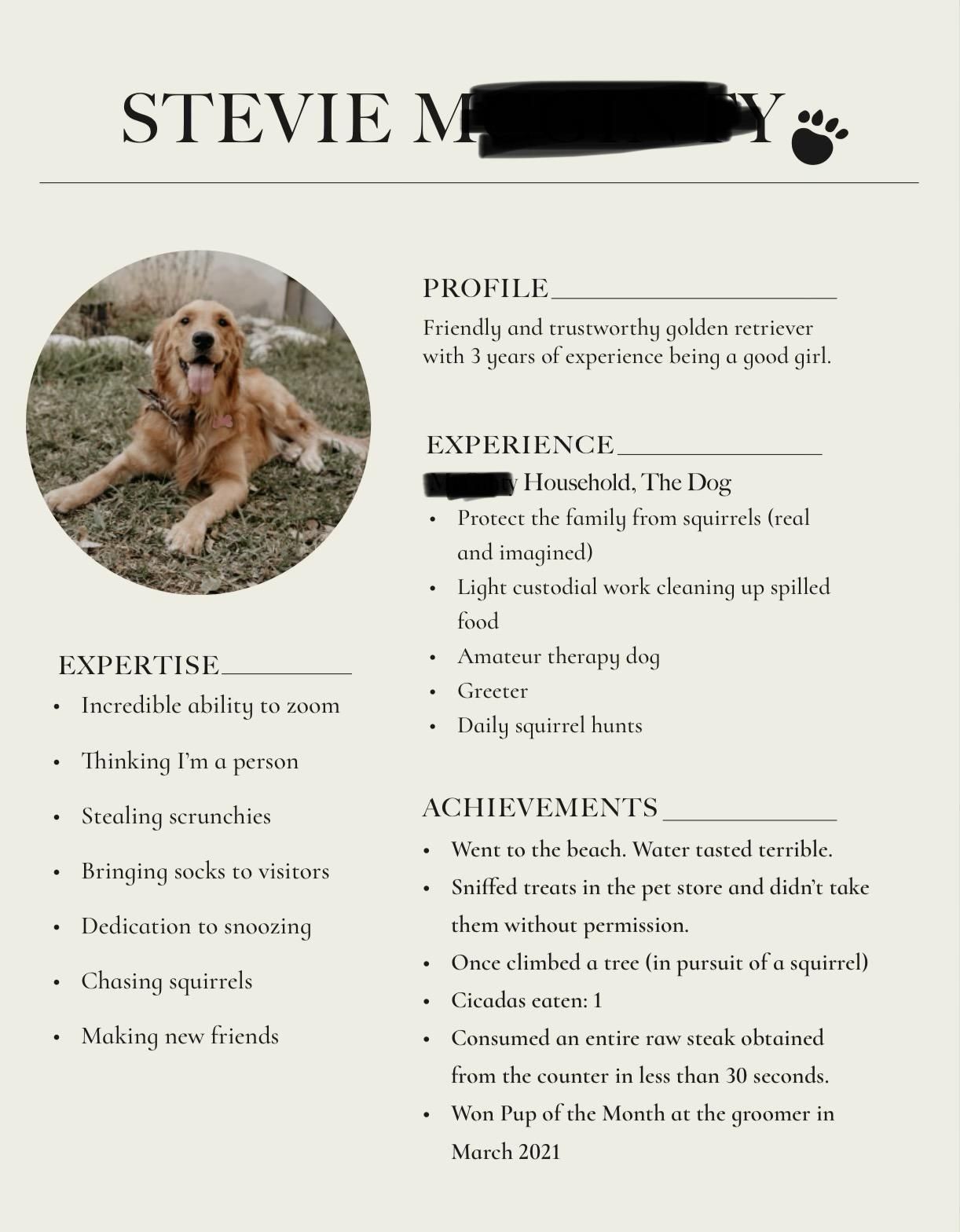 My friend made a résumé for her dog