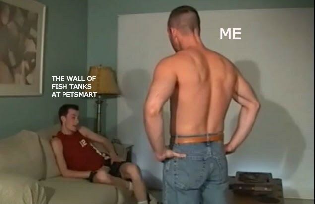 ***