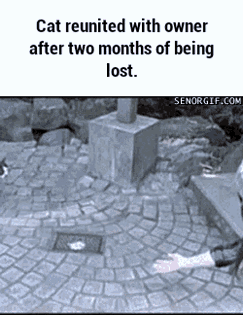 Missed you too