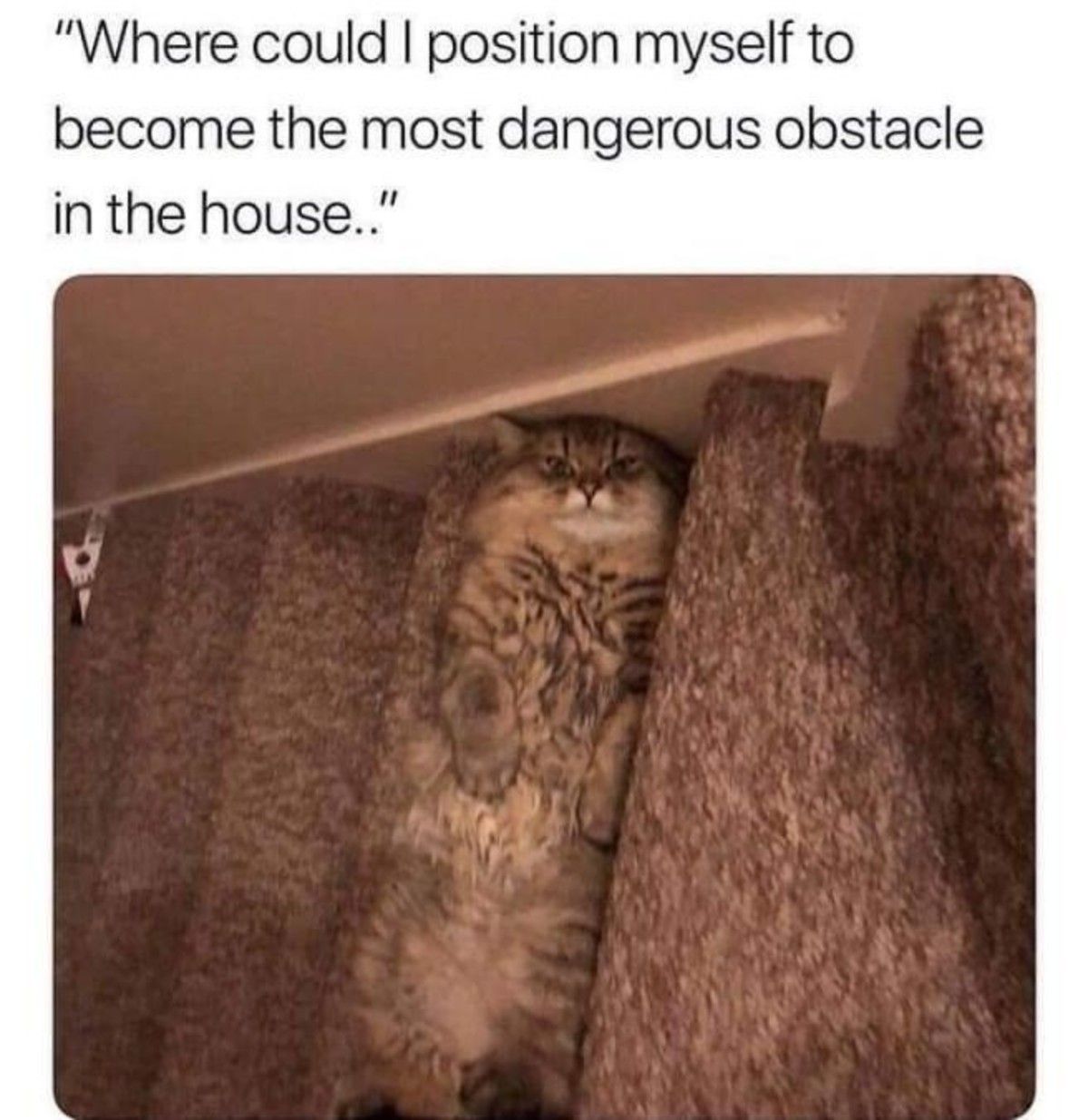 GATO