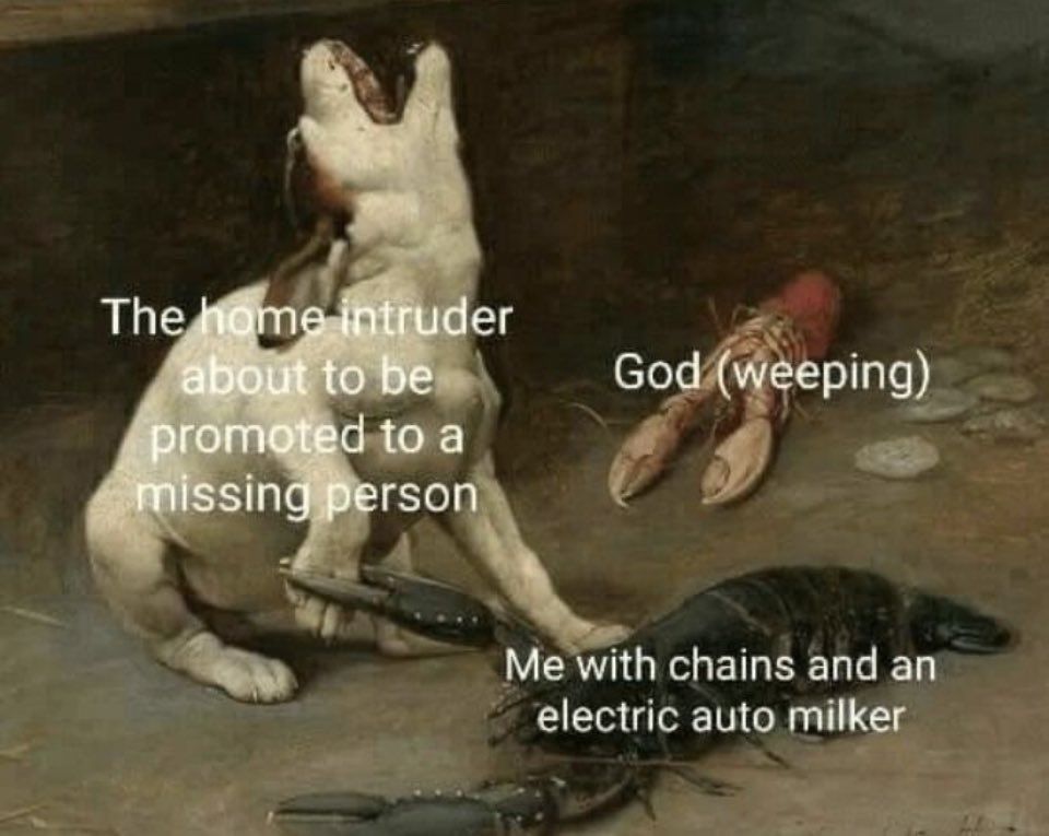 xdd