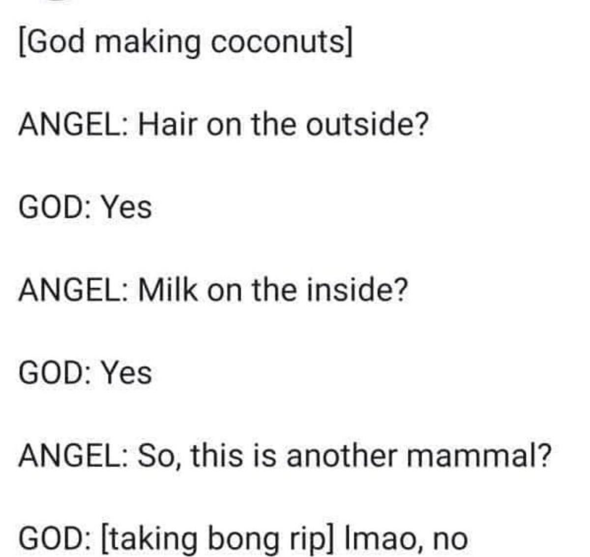 LMAO
