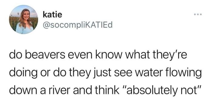 nothing