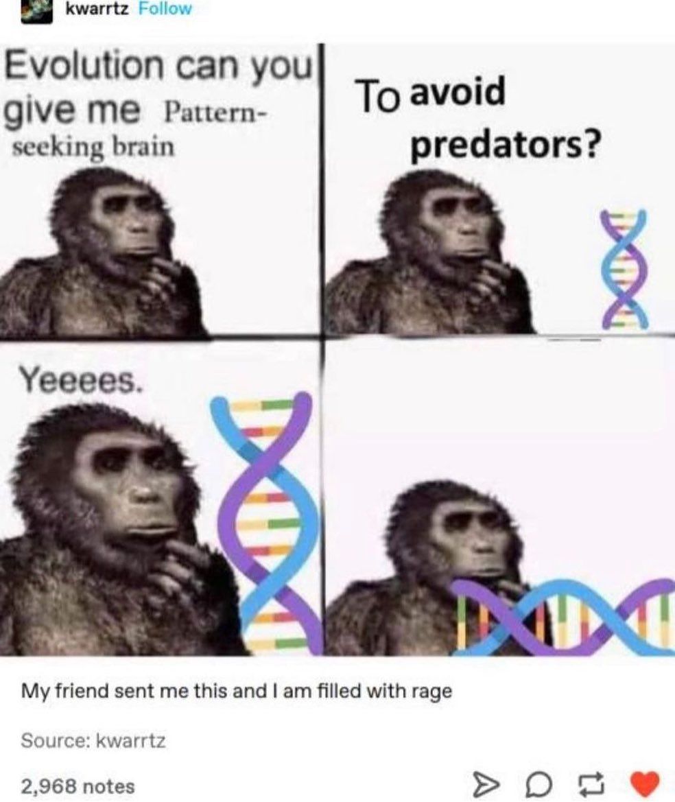 is this ?