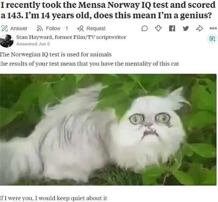 i.q