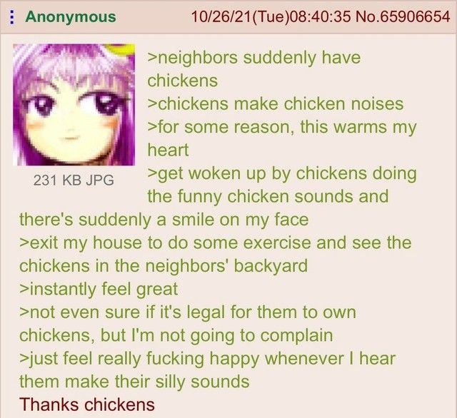 chickens
