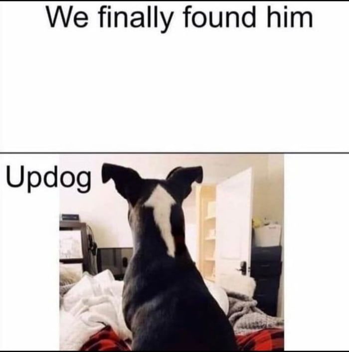 is this an avatar reference?