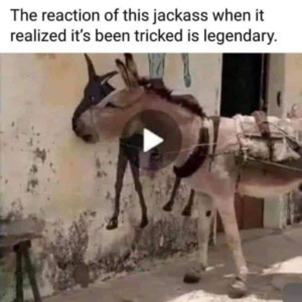 nice