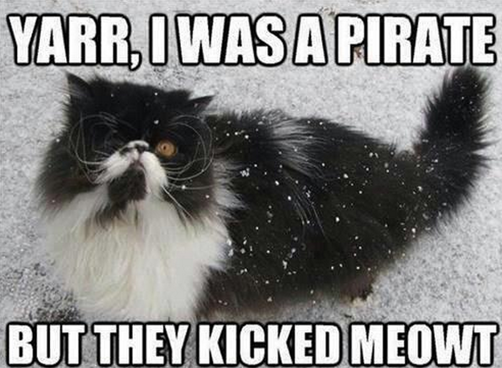 Kitty pirate