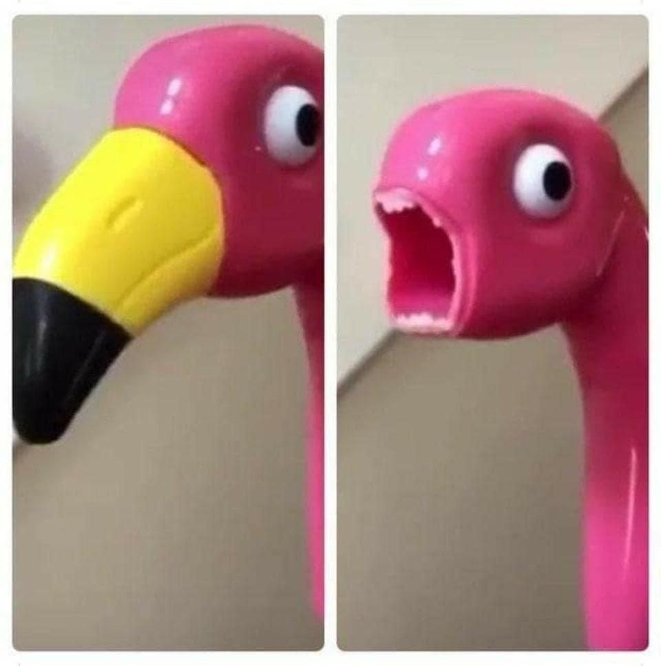 Фламинго Мем