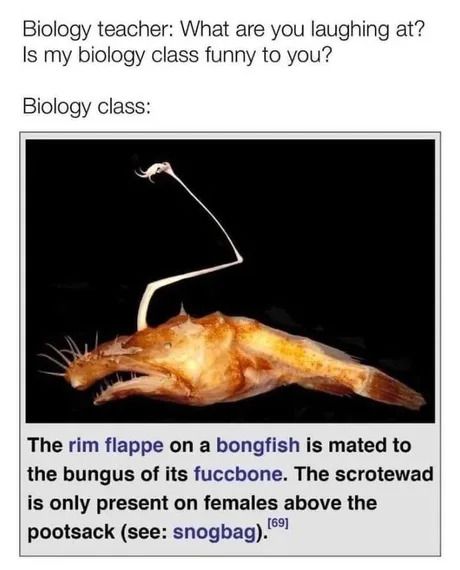 Dongfish 2: nutte sac boogaloo