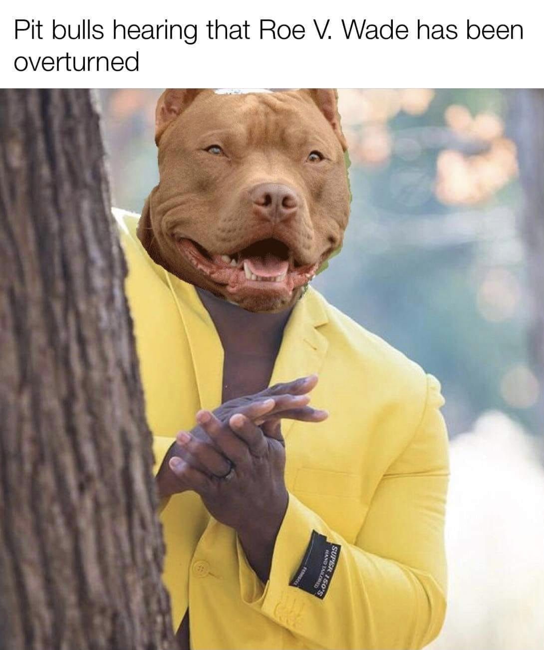 ***
