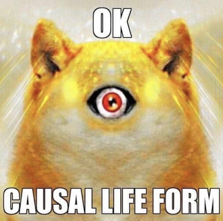 dog