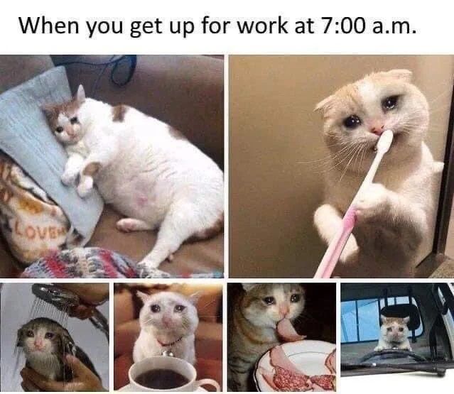 ***