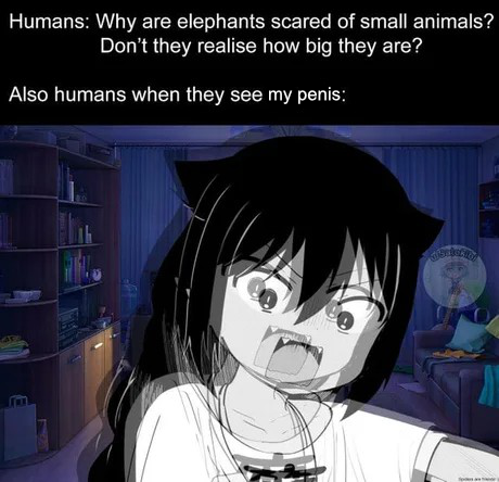 oh boi 200th post
