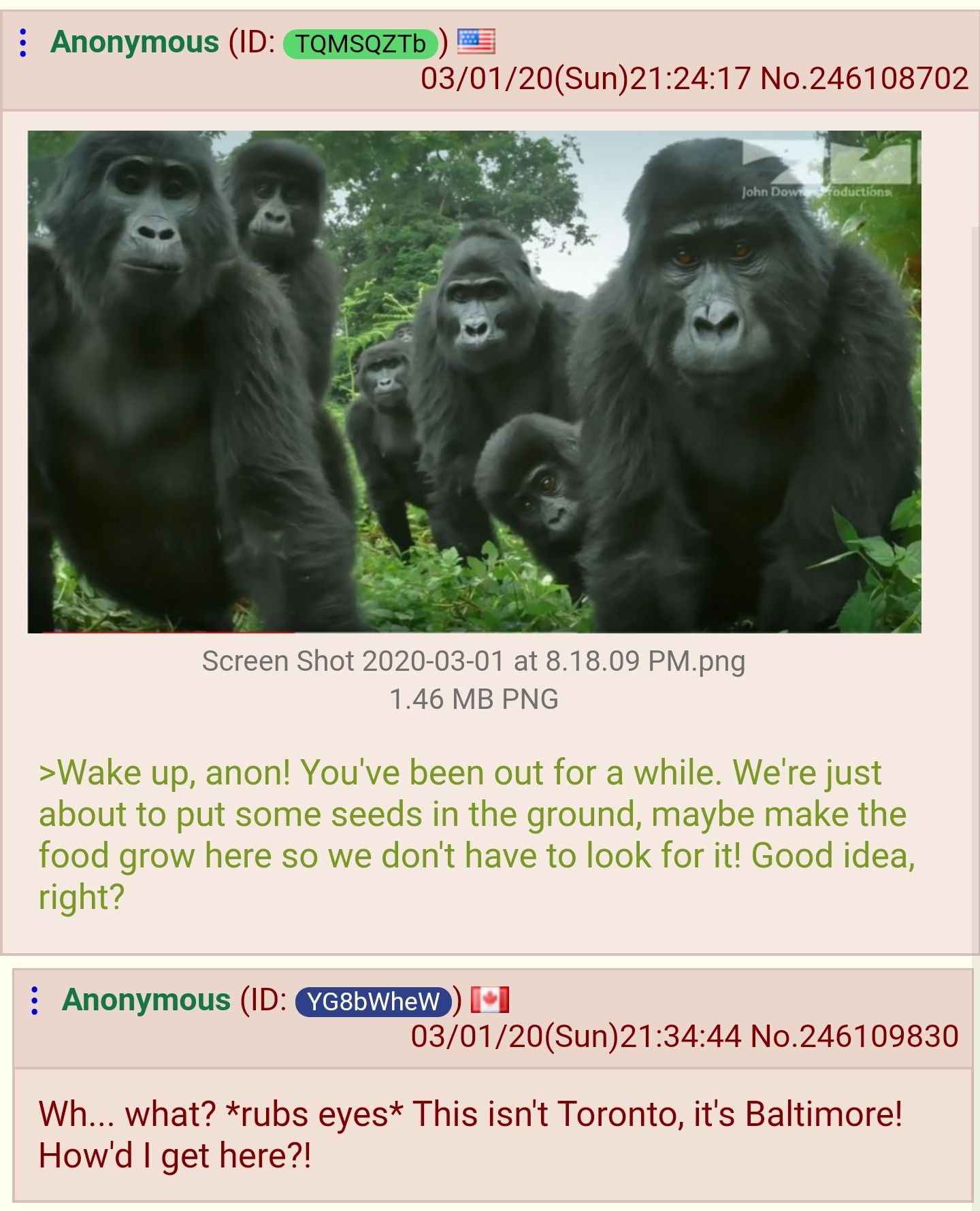 Home negrown