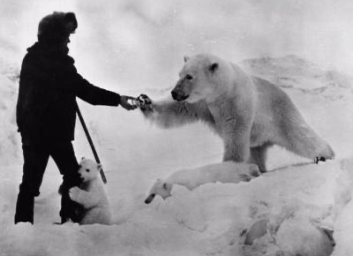 A Polar Bear gives the Coca-Cola Secret Formula to John Pemberton,