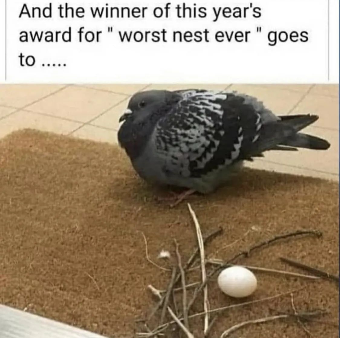 He looks susceptible to judgment