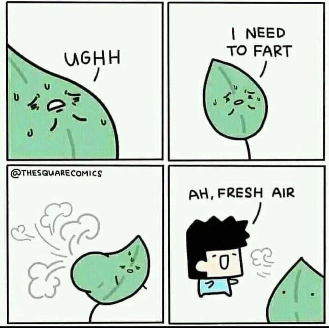 Leaf Farts
