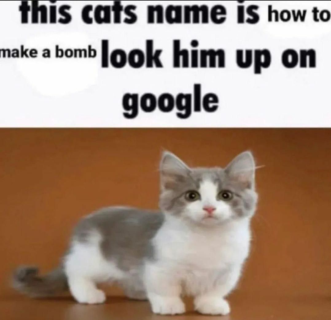 Cute
