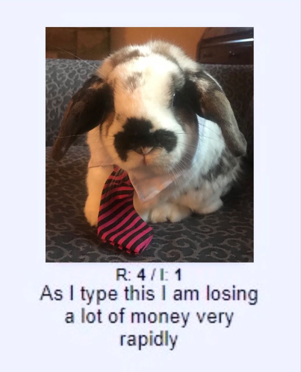 crypto rn