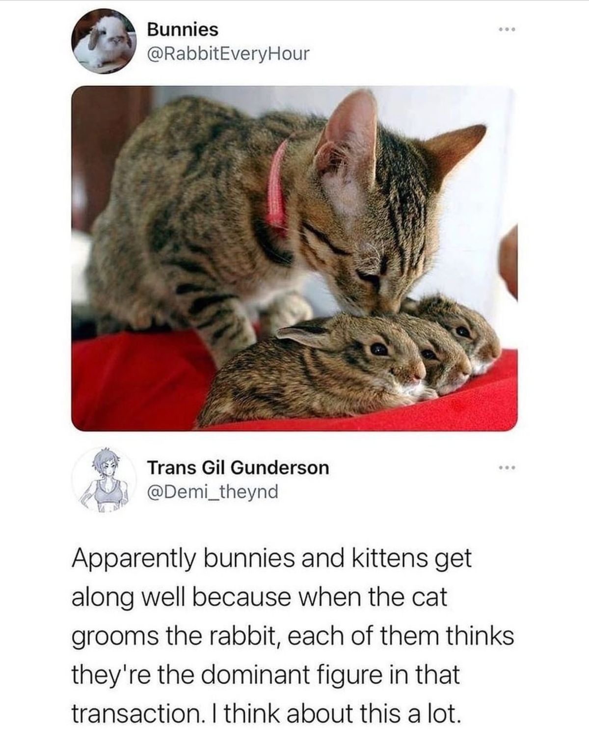 you can't have two alphas