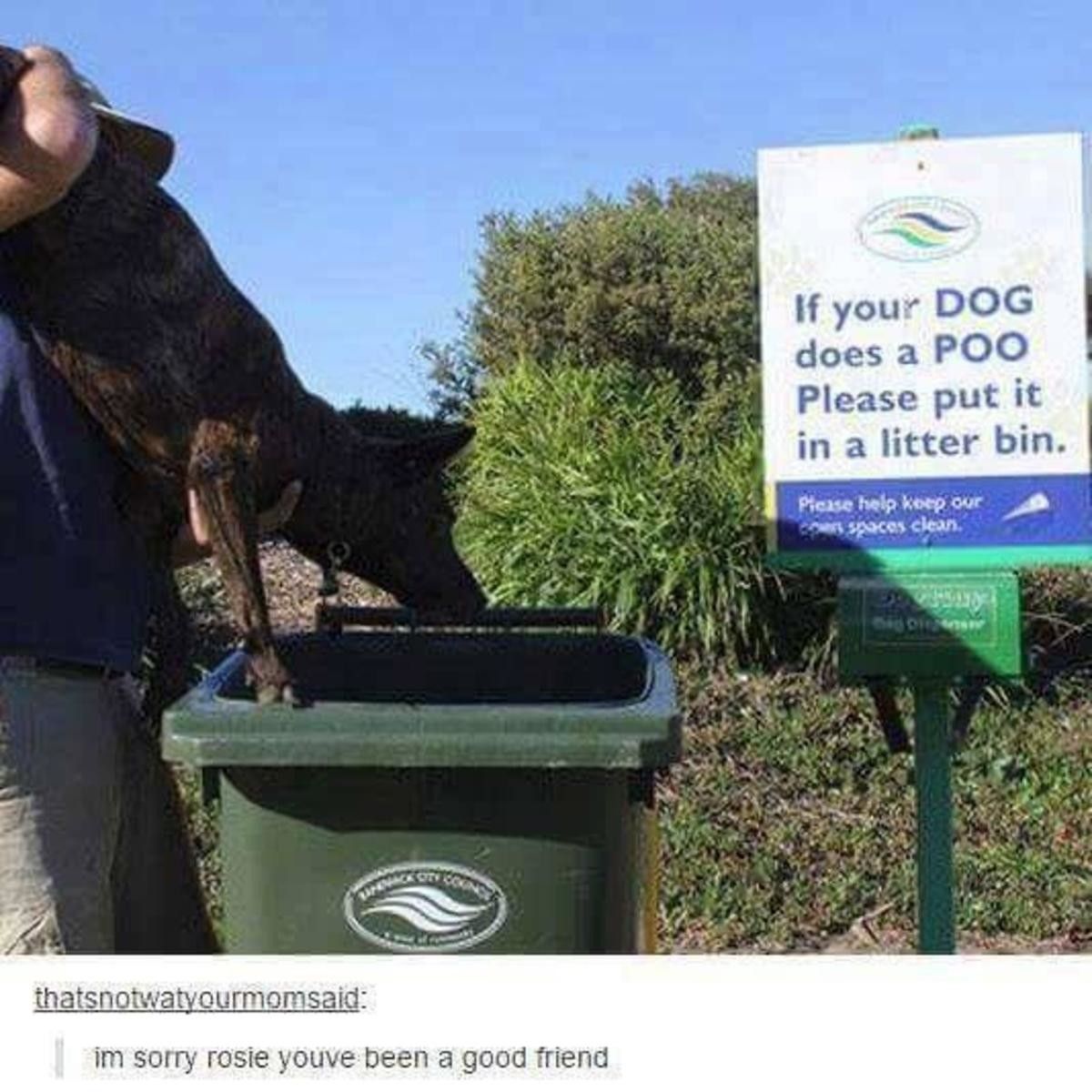 poo