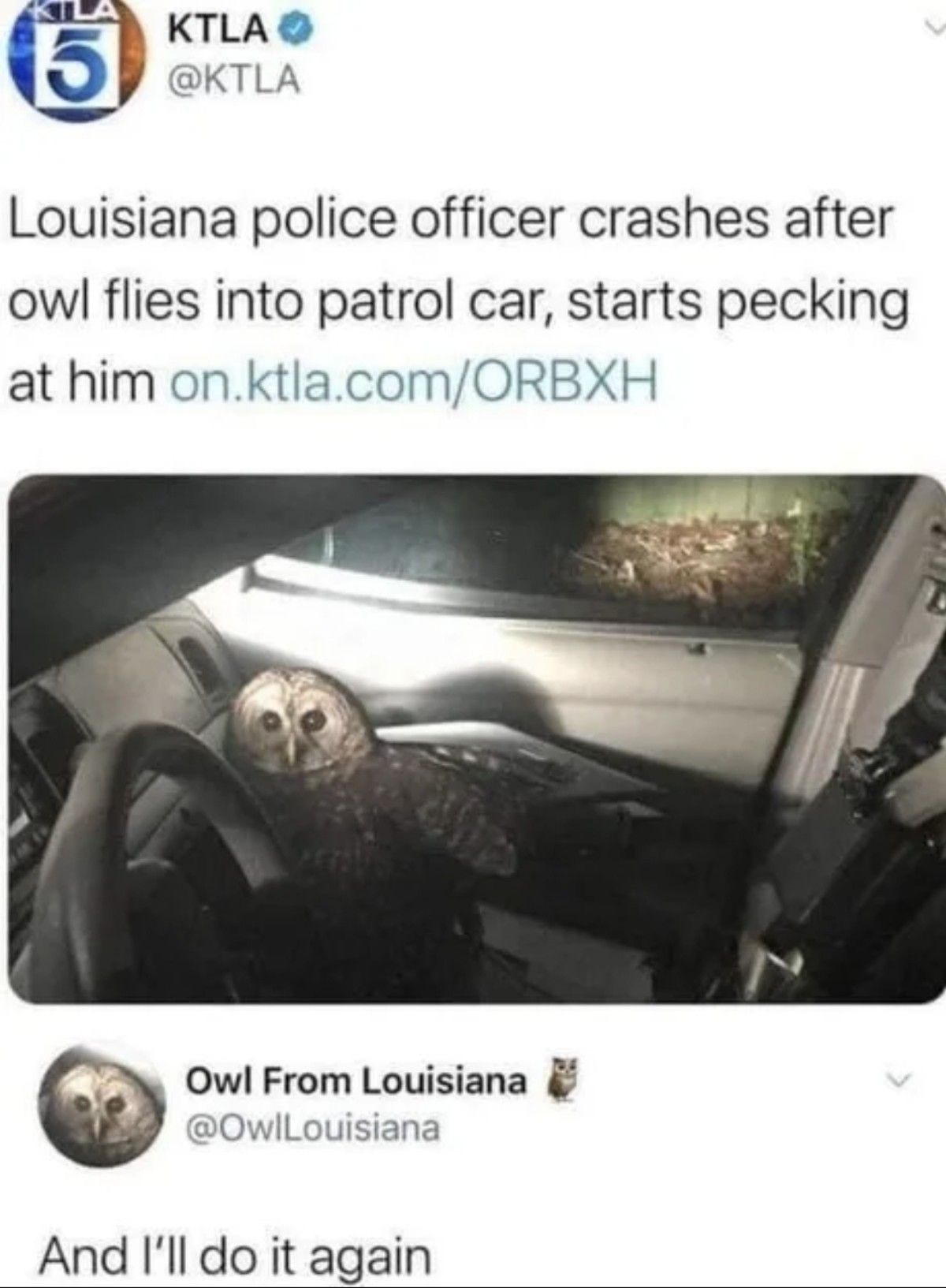 owl do it again