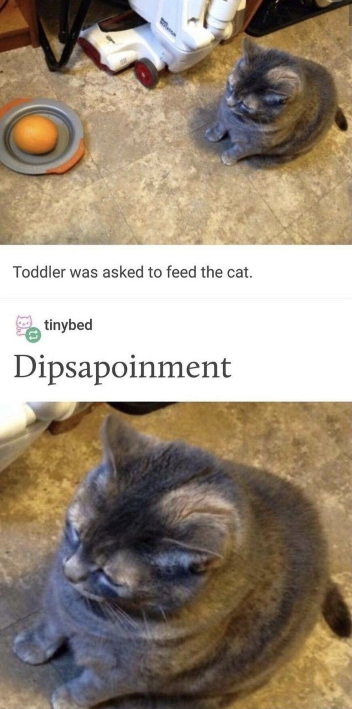dudder will go hungry