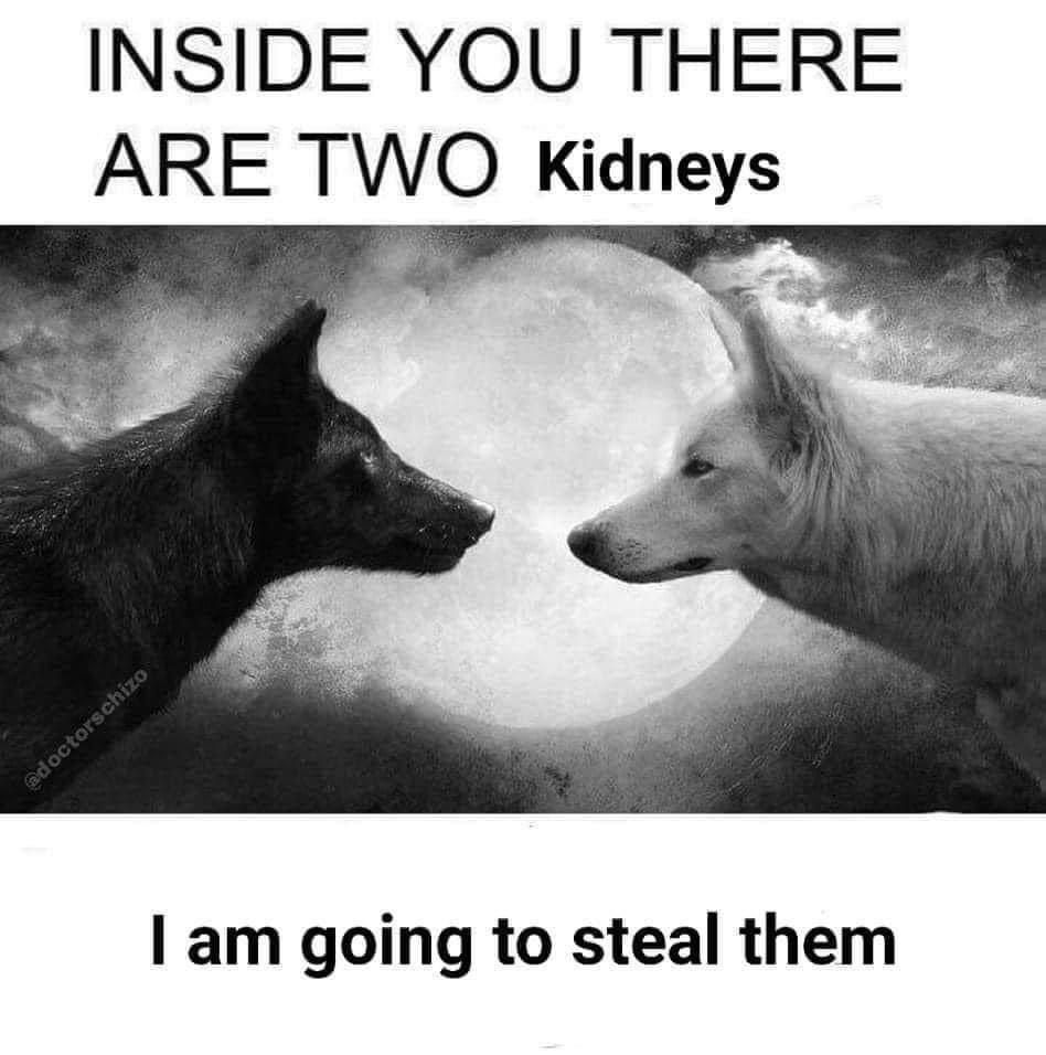 Donate them to me